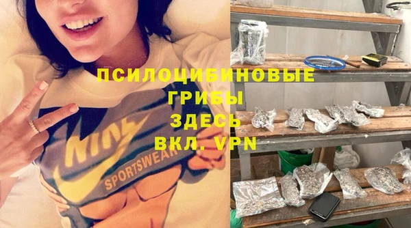 винт Коряжма