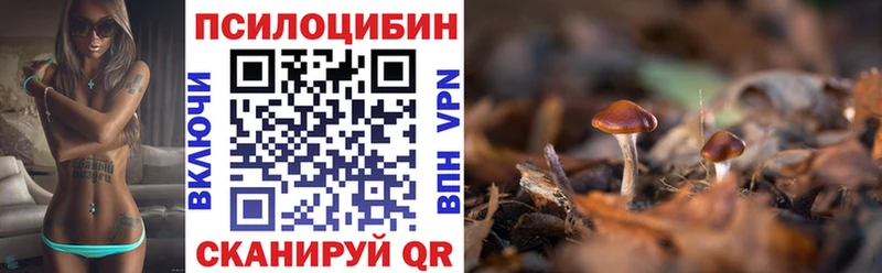 Псилоцибиновые грибы мухоморы сколько стоит Сегежа