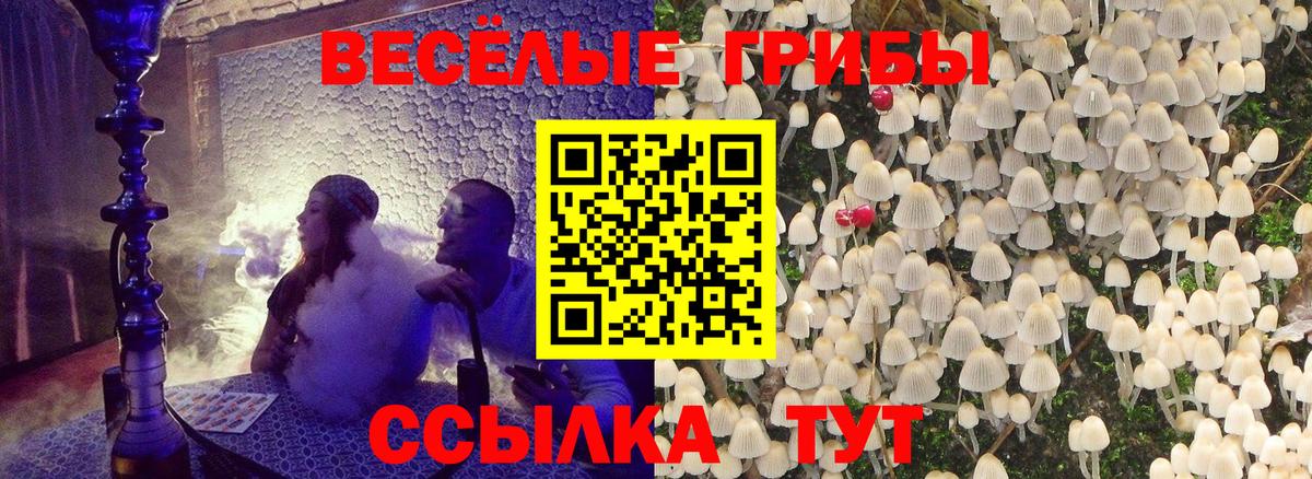 Сегежа  Псилоцибиновые грибы Psilocybine cubensis  Вход с VPN 